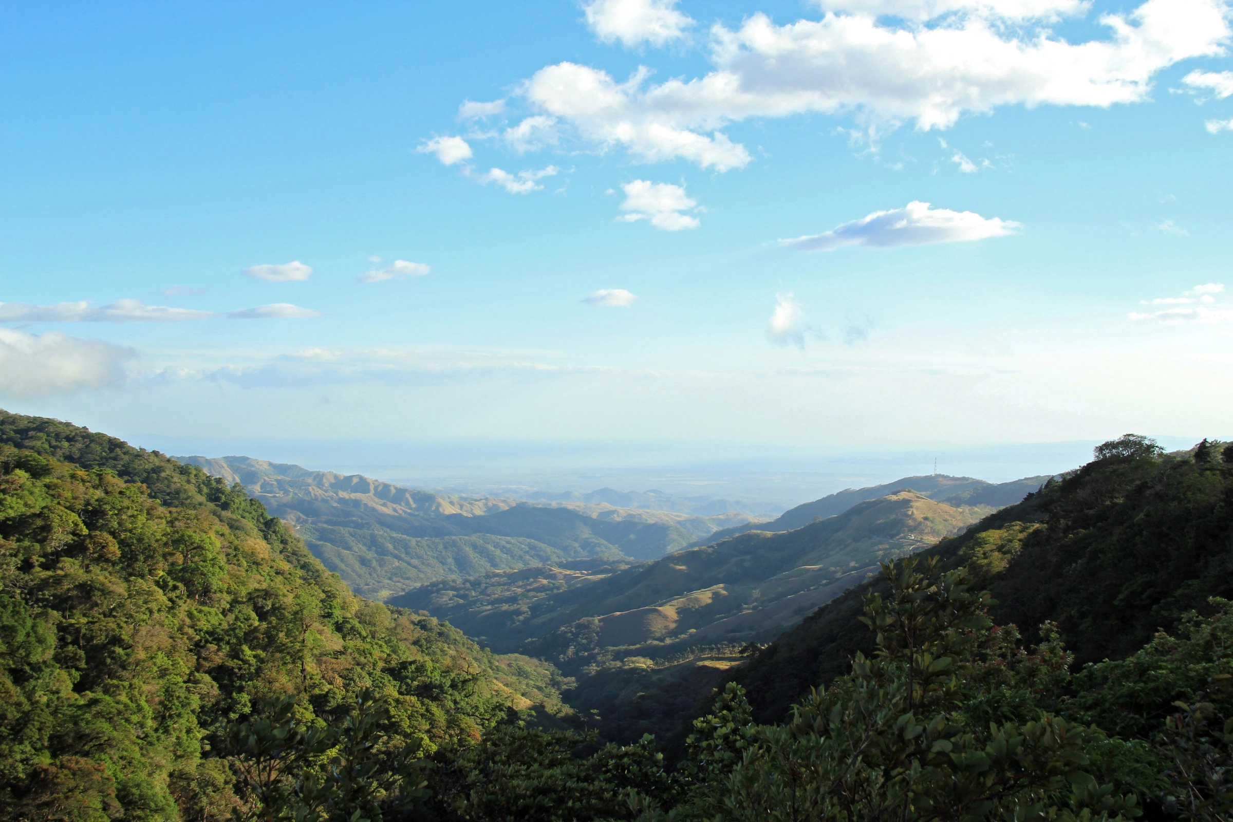 Monteverde_Cloud_Forest_Biological_Preserve[1].webp